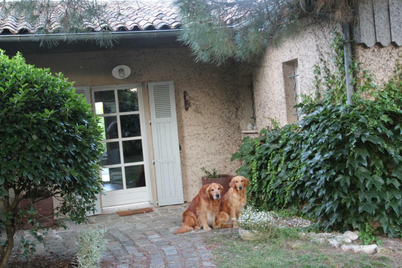 فندق Saint-Sulpice-et-Cameyracفي  Le Clos Du Gorion المظهر الخارجي الصورة